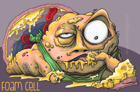 Foam cell