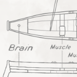 Cox's anatomy of a gig