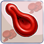 Dacrocyte