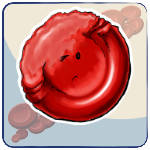 Eccentrocyte