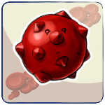 Echinocyte