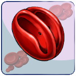Knizocyte