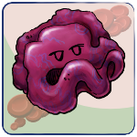 Reticulocyte