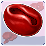 Stomatocyte